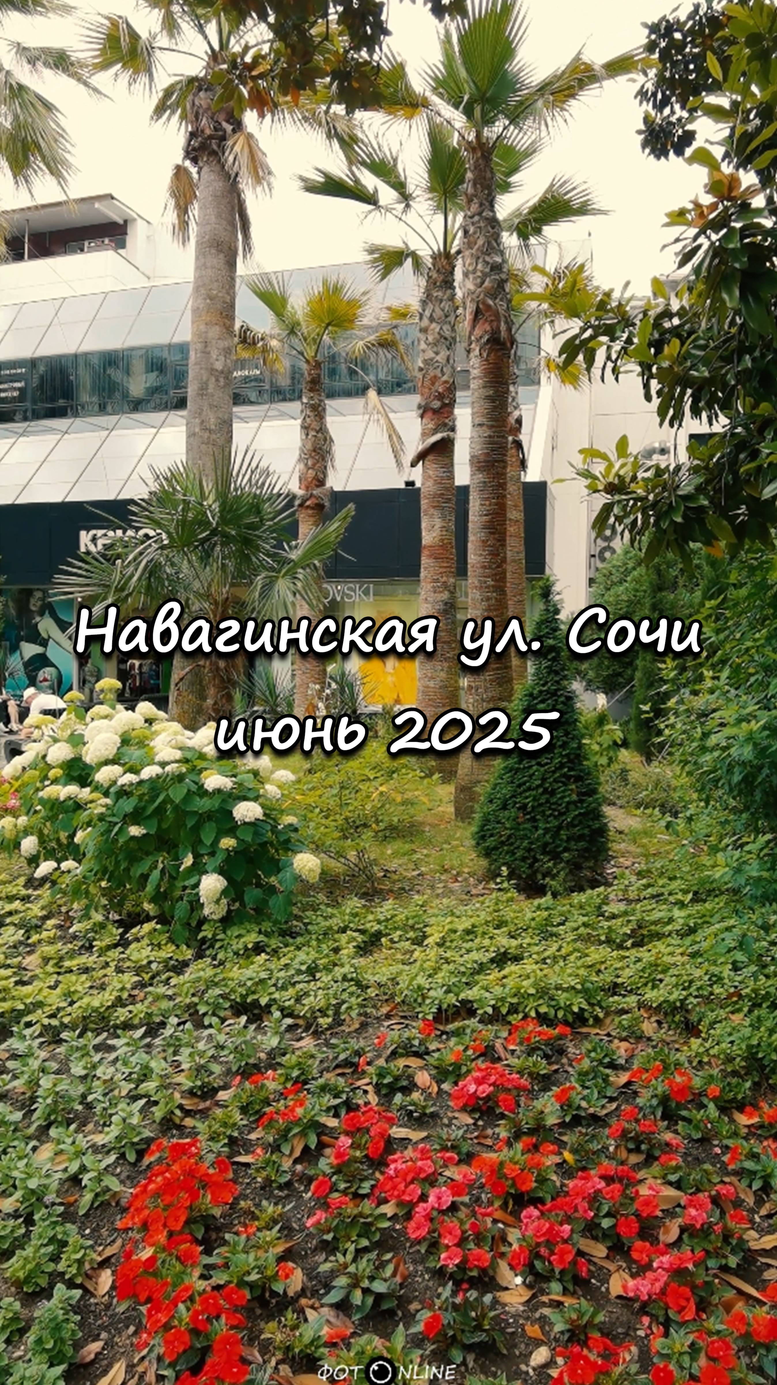 Навагинская улица, Сочи. Июнь 2025