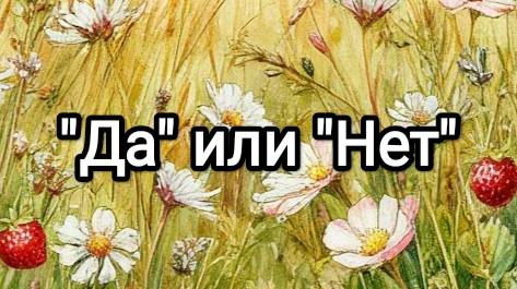 Да или нет на вопрос