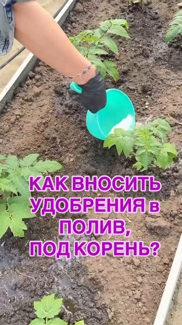 Правильная подкормка