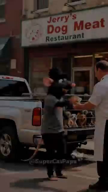 Dog Thieves Took His Pup… But Dad Did the Unthinkable 😱💔