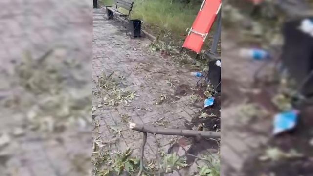 18+ ВСУ!!!
 Обстреляли парк в Селидово, когда там были гражданские люди — двое погибли.