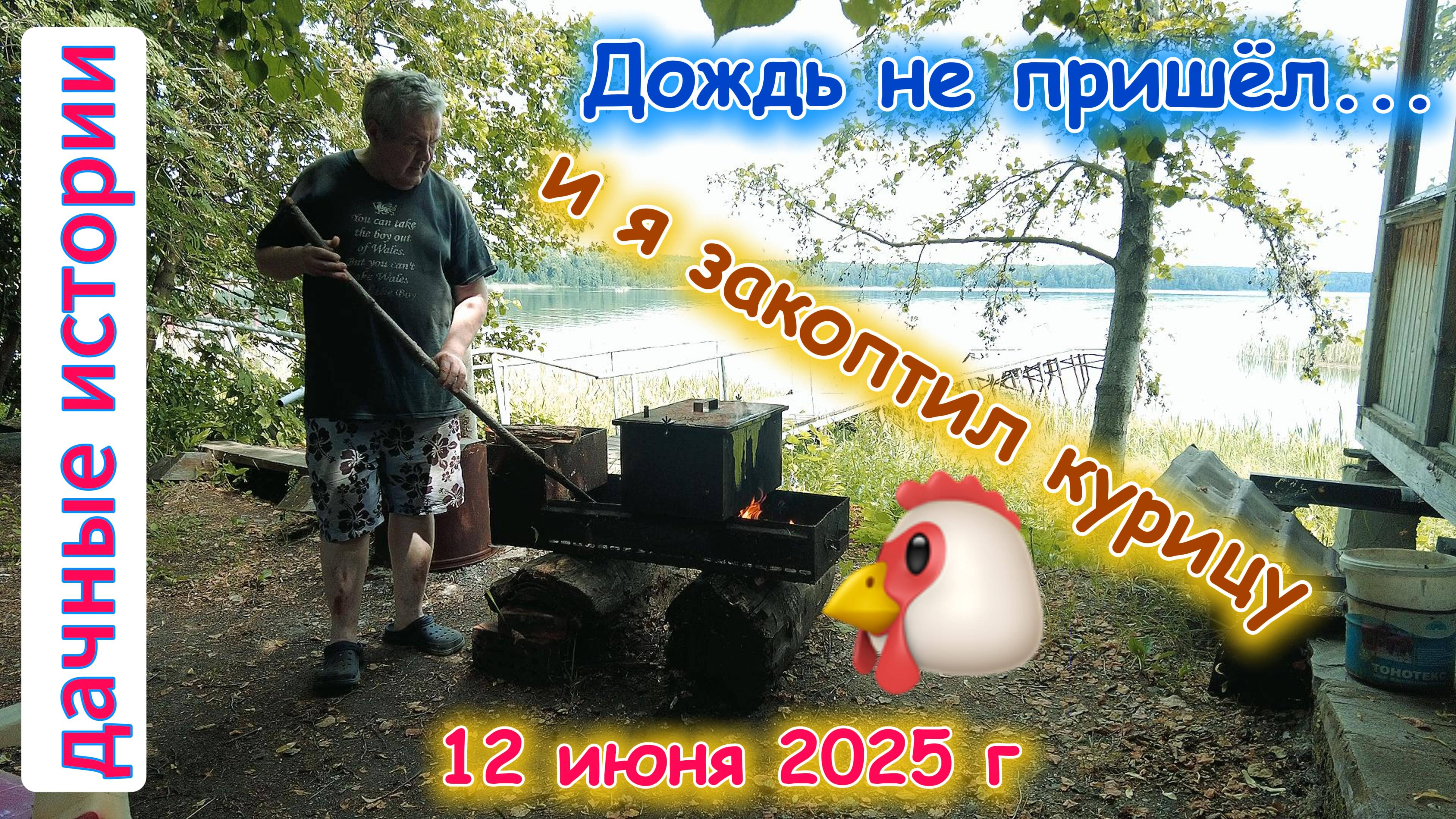 Без дождя закоптили курицу 12 июня 2025 г