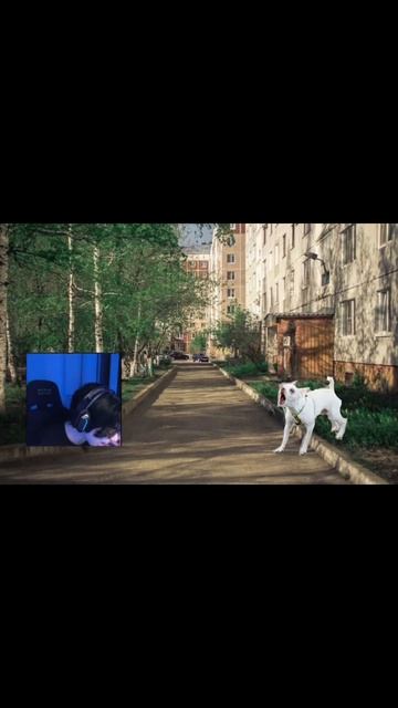 1000005460.mp4