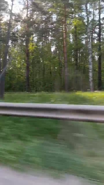 Путешествие по России  Дорога  Ярославль