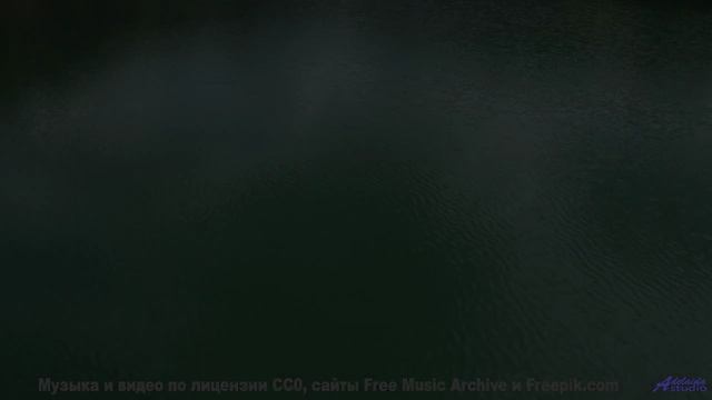 Невозможно не заслушаться под такую завораживающую картинку - Tarzan (on a Saturday afternoon) -- Dr