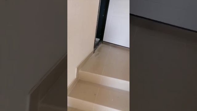 1000193129.mp4