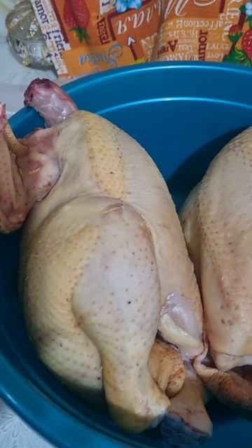 Такие домашние  курочки!