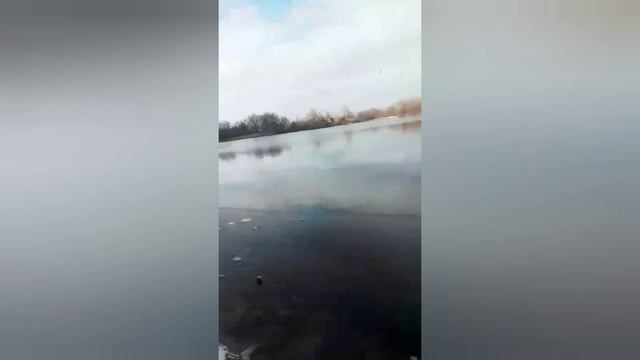 риболовля на фідер 2025 рік 8 лютого #flet #fishing #carp