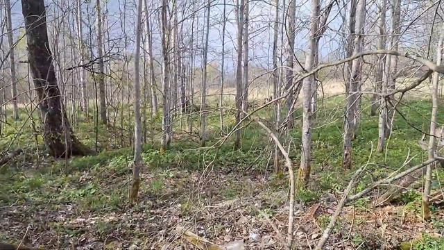 ЦЕНА НА МЕТАЛЛ ПАДАЕТ!!!НОВЫЙ МЕТАЛЛОИСКАТТЕЛЬ !!! 410КГ ?