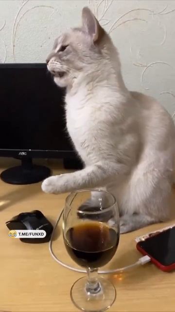 Ну и гадость вы пьете!🤣