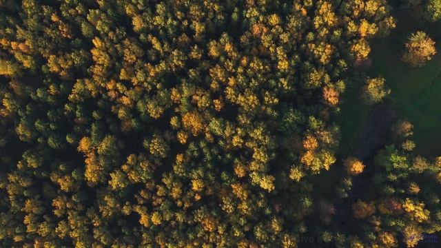 Ты будешь пересматривать его в самые трудные моменты! - Living Life -- Scott Holmes Music -- Inspiri