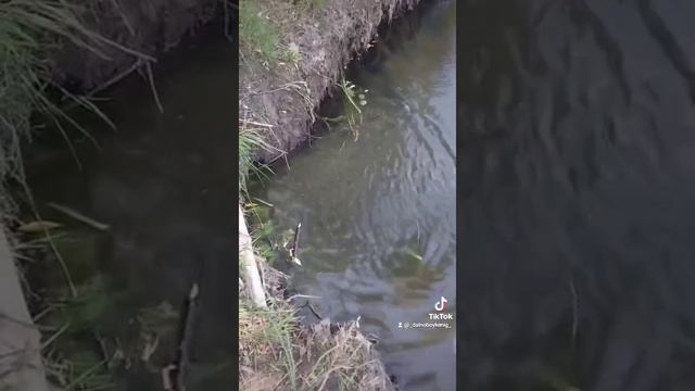 1000034181.mp4