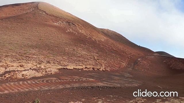 КАНАРСКИЕ ОСТРОВА