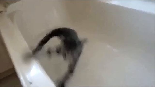 Всячинки