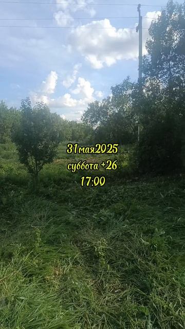31-05-2025