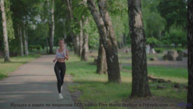Дорога, скорость и музыка, от которой бегут мурашки! - 4-les corbeaux de westminster -- Bonne Humeur
