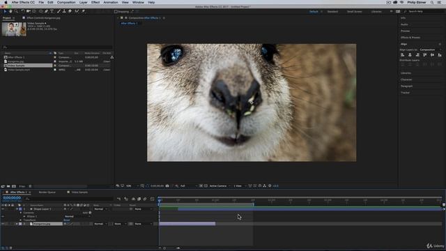 After Effects Course 013 The Timeline