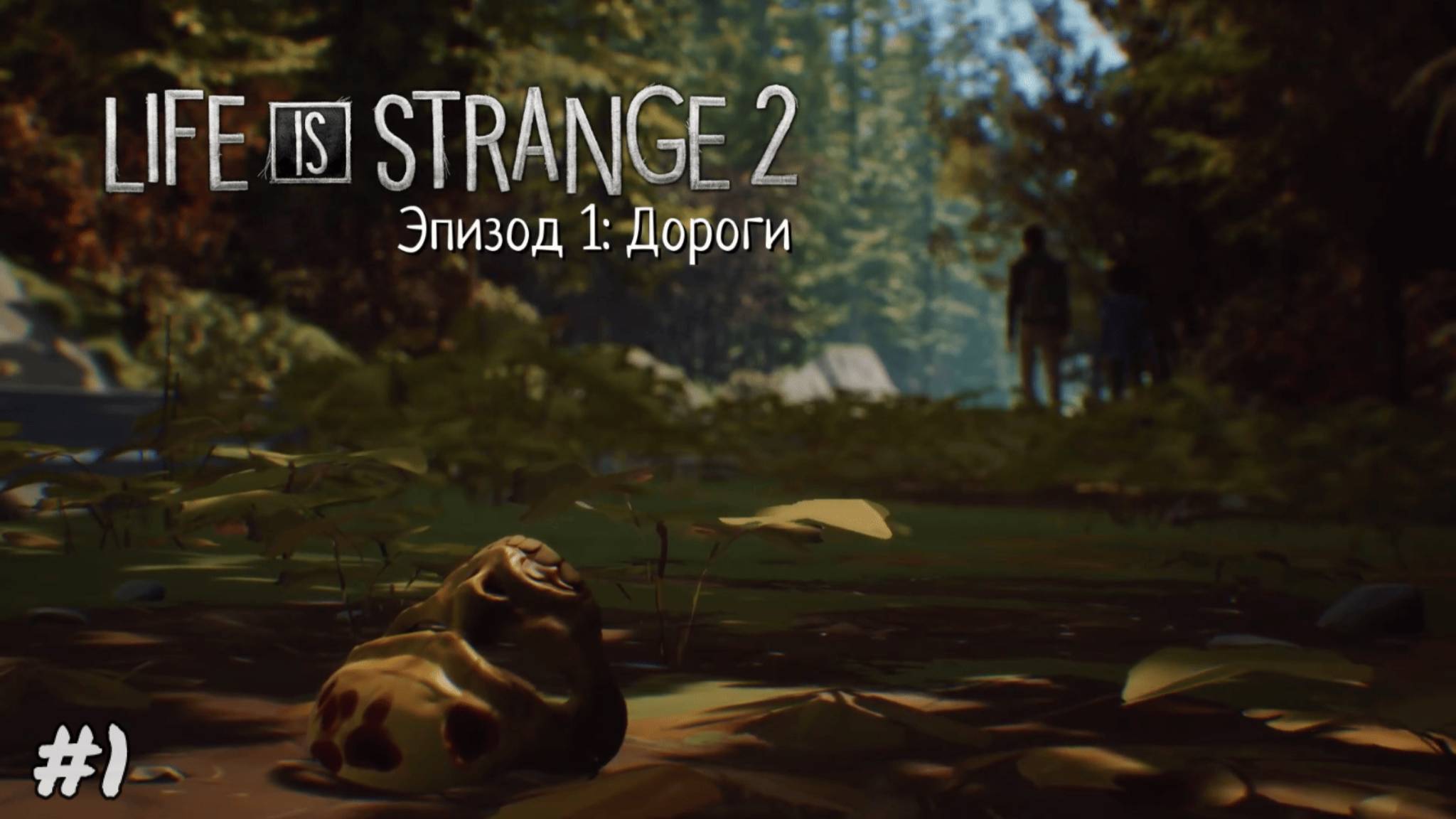 Знакомьтесь - братья Диасы! ► Episode 1: Дороги ► #1 Life is Strange 2 (ПРОХОЖДЕНИЕ)