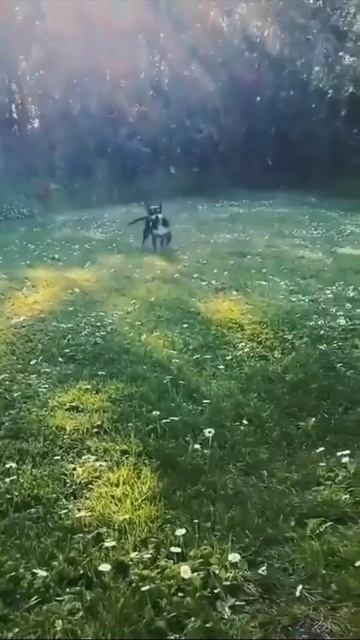 КОГДА ТЫ СЧАСТЛИВ