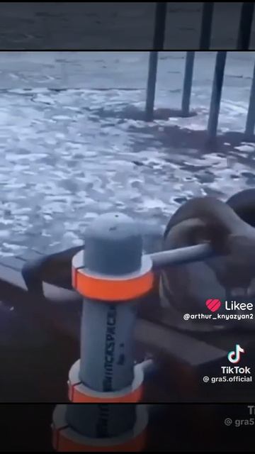 1000014059.mp4