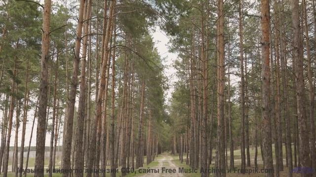 Эта песня - ваш секретный код для спонтанных путешествий - Beautiful -- Ketsa -- Collective Consciou