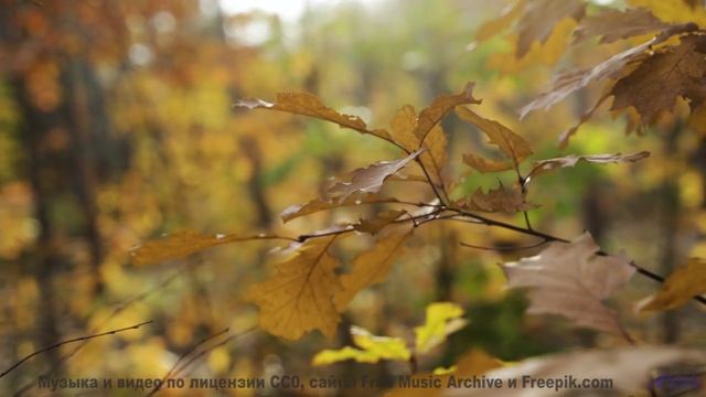 Душа поёт, а тело замирает при таких аккордах - Sun Nation -- Ketsa -- Darkness and Light