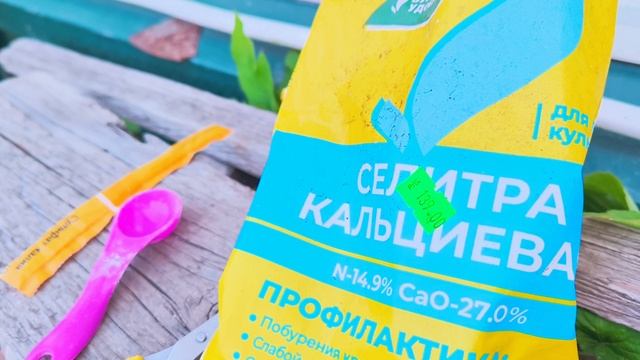 Подкармливаю озимый чеснок и сплела из ротанга башмак.