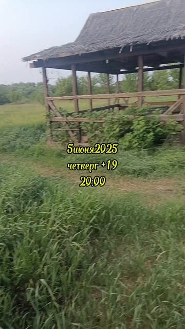 05-06-2025