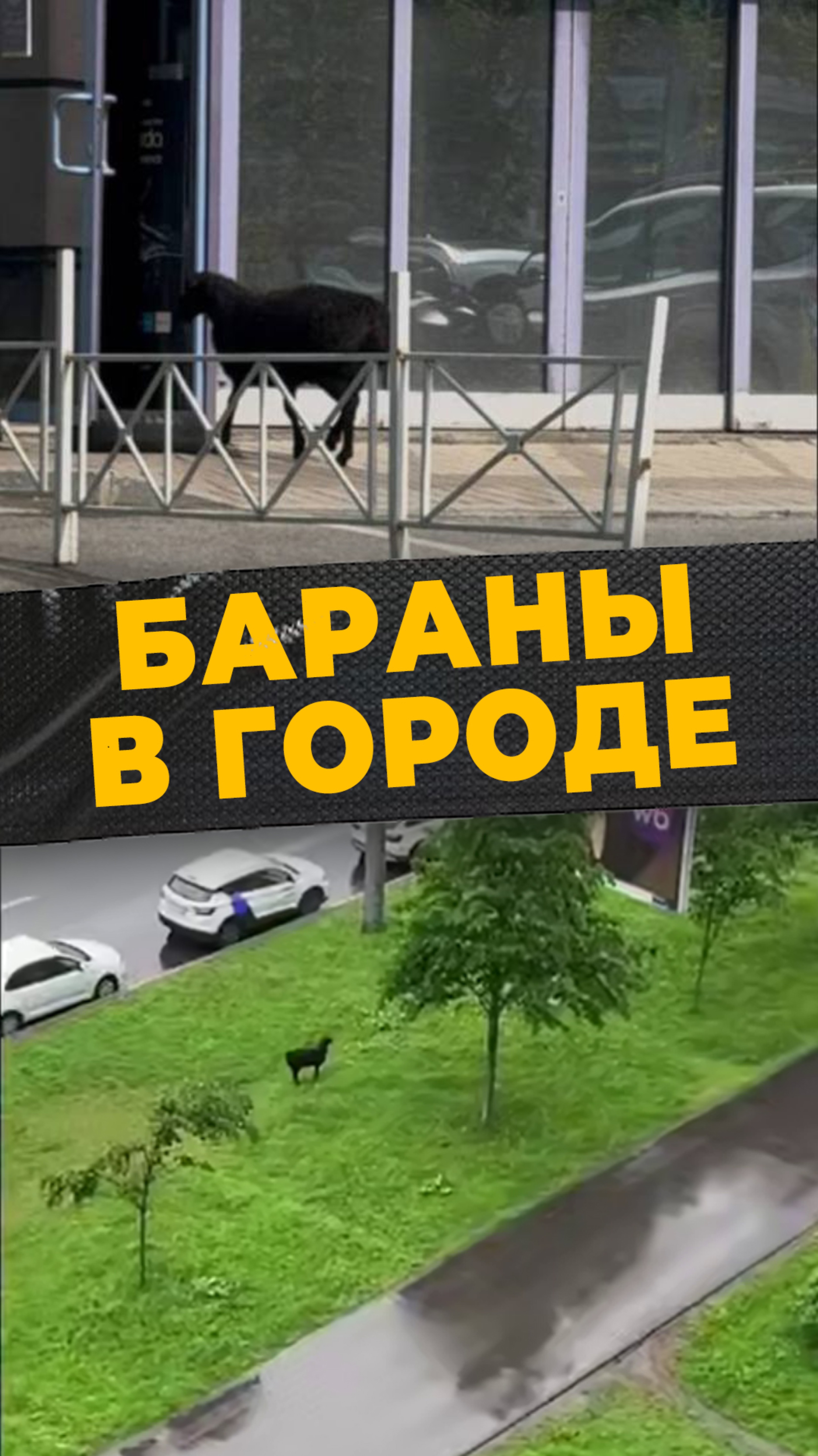 ЧЕРНЫЙ БАРАШЕК
#мирадио