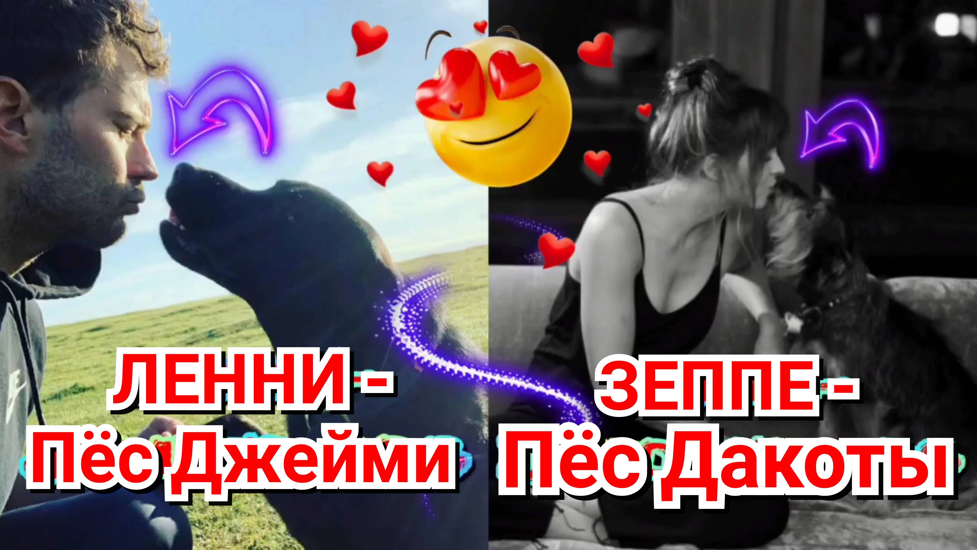♥️ ЛЕОНАРД (ПЁС ДЖЕЙМИ ДОРНАНА) И ЗЕППЕЛИН (ПЁС ДАКОТЫ ДЖОНСОН) ❤️