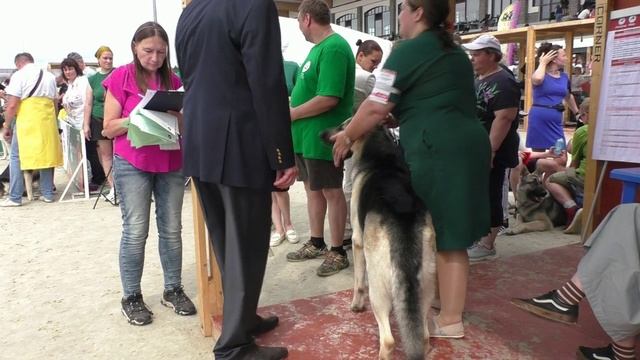 ПС Уильям