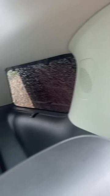 Autoglass