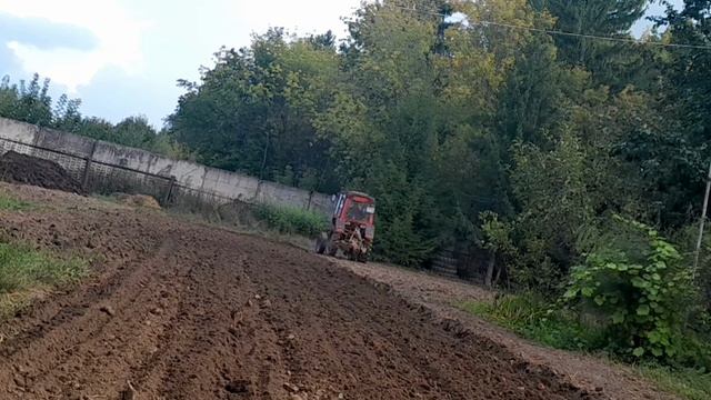 пахалка т25