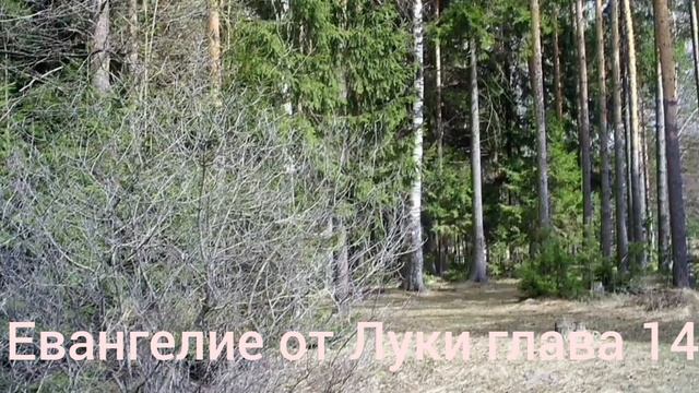 Библия Евангелие от Луки глава 14
