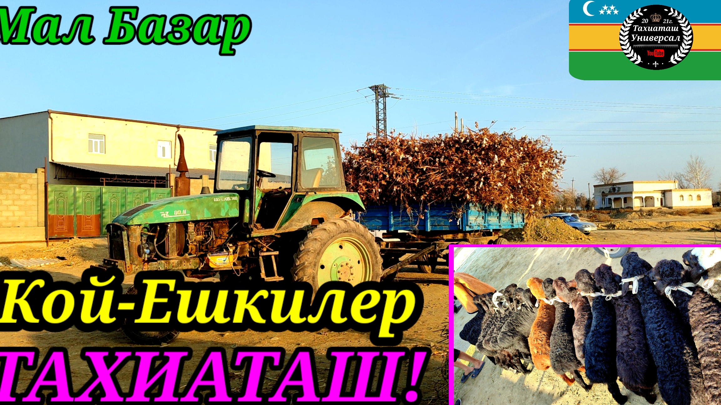 14-06-2025 СКОТНЫЙ РЫНОК -МАЛ БАЗАР 🐐