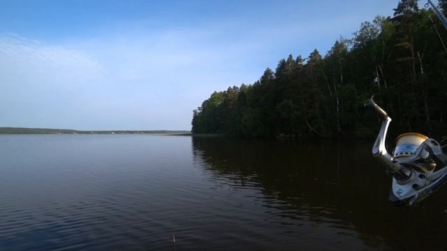 Красногвардейское озеро. Рыбалка 12.06.25.