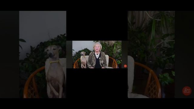 #1 часть до какого возраста кормить грудью.Т.Г.Визель, доктор психологических наук, нейропсихолог.