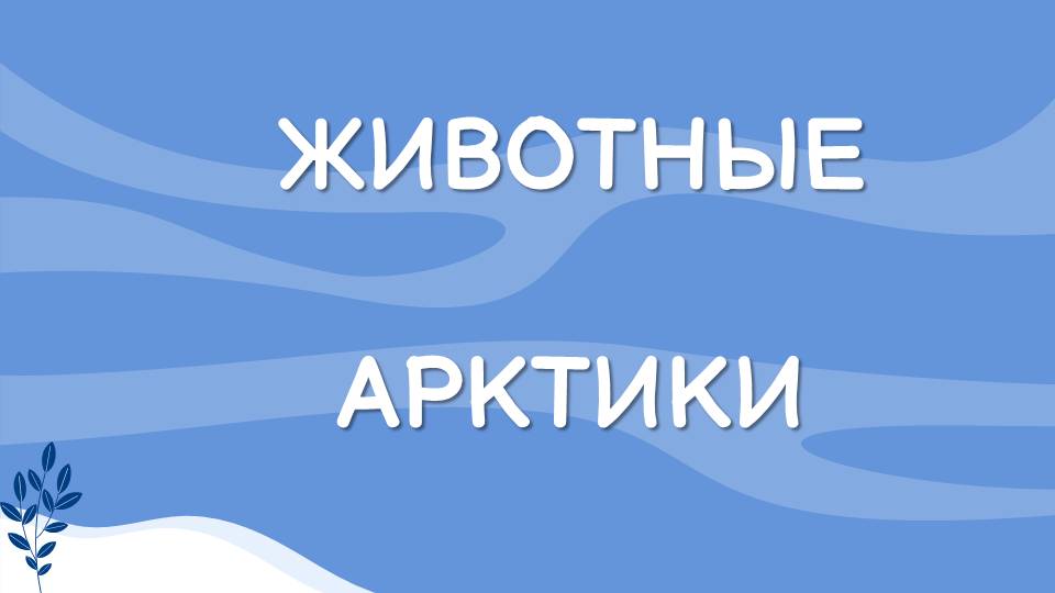 Животные Арктики
