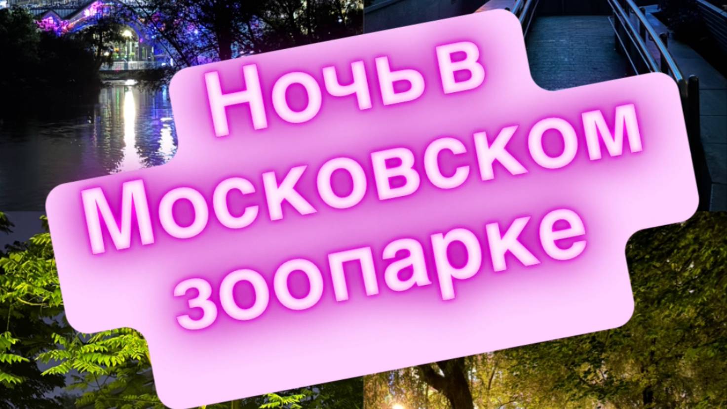 🦣Ночь в Московском ЗООПАРКЕ - сбылась мечта! Выставка "Тени незабытых предков"🐅 ЧАСТЬ №1