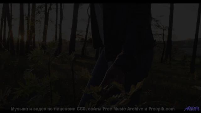 Музыка, от которой хочется бросить все и путешествовать! - Kaffeehausmusik -- Phillip Gross -- Quart