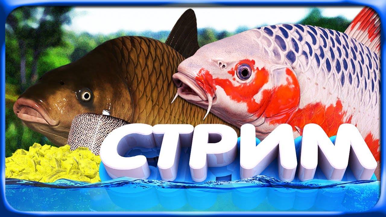 Стрим. Русская Рыбалка 4. 13.06.2025