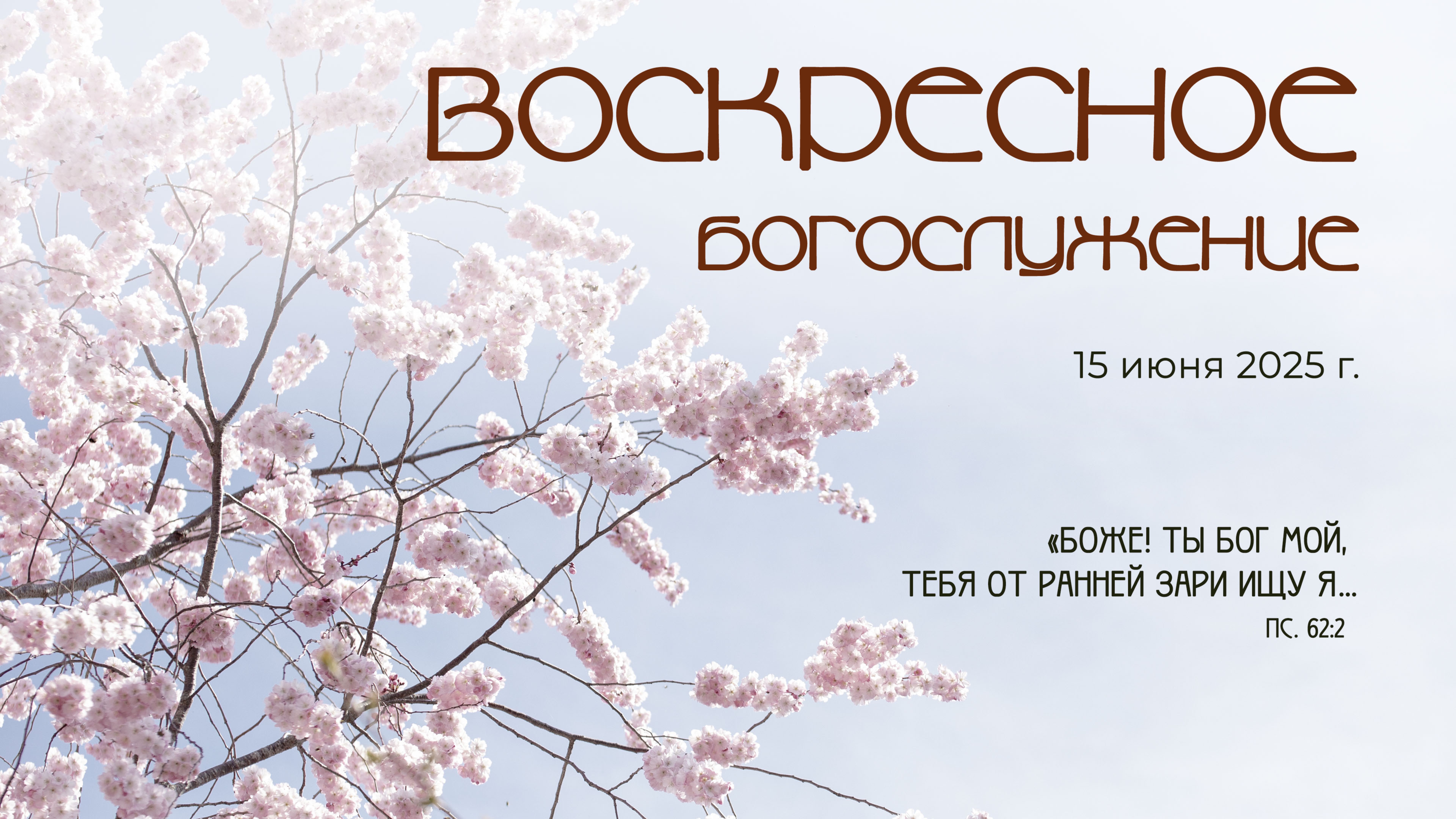 Воскресное богослужение |15 июня 2025 г. | г. Новосибирск