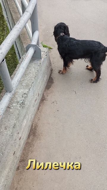 Лилечка