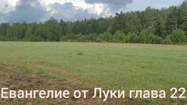 Библия Евангелие от Луки глава 22