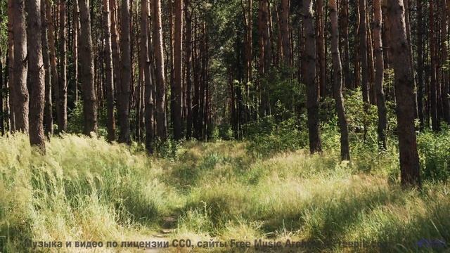 Пейзажи качают сознание под этот ритм - Devils Touch -- Overhill Ln -- OPULENT