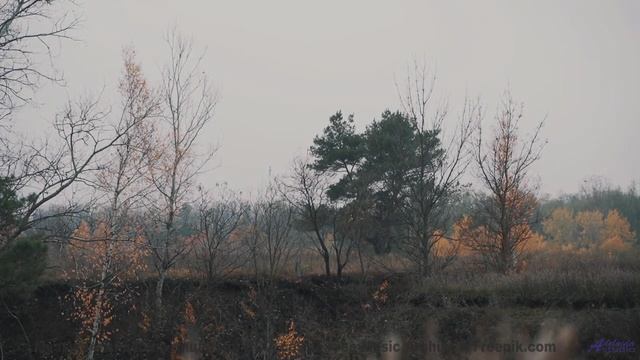 После этого клипа ты поверишь в любовь снова! - 01 Fortune -- Ketsa -- Nothing Left Behind