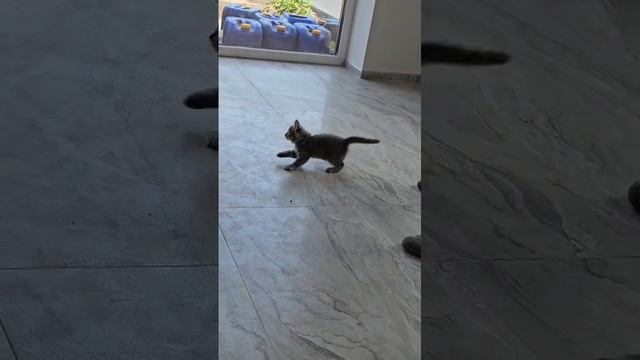 Счастье живет рядом с нами