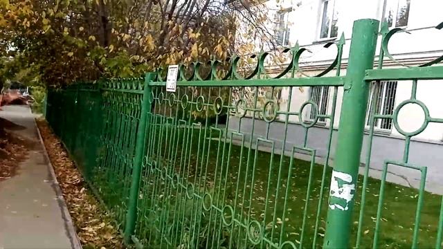 Визит к ветеринару на Первомайке в Новосибирске!!!