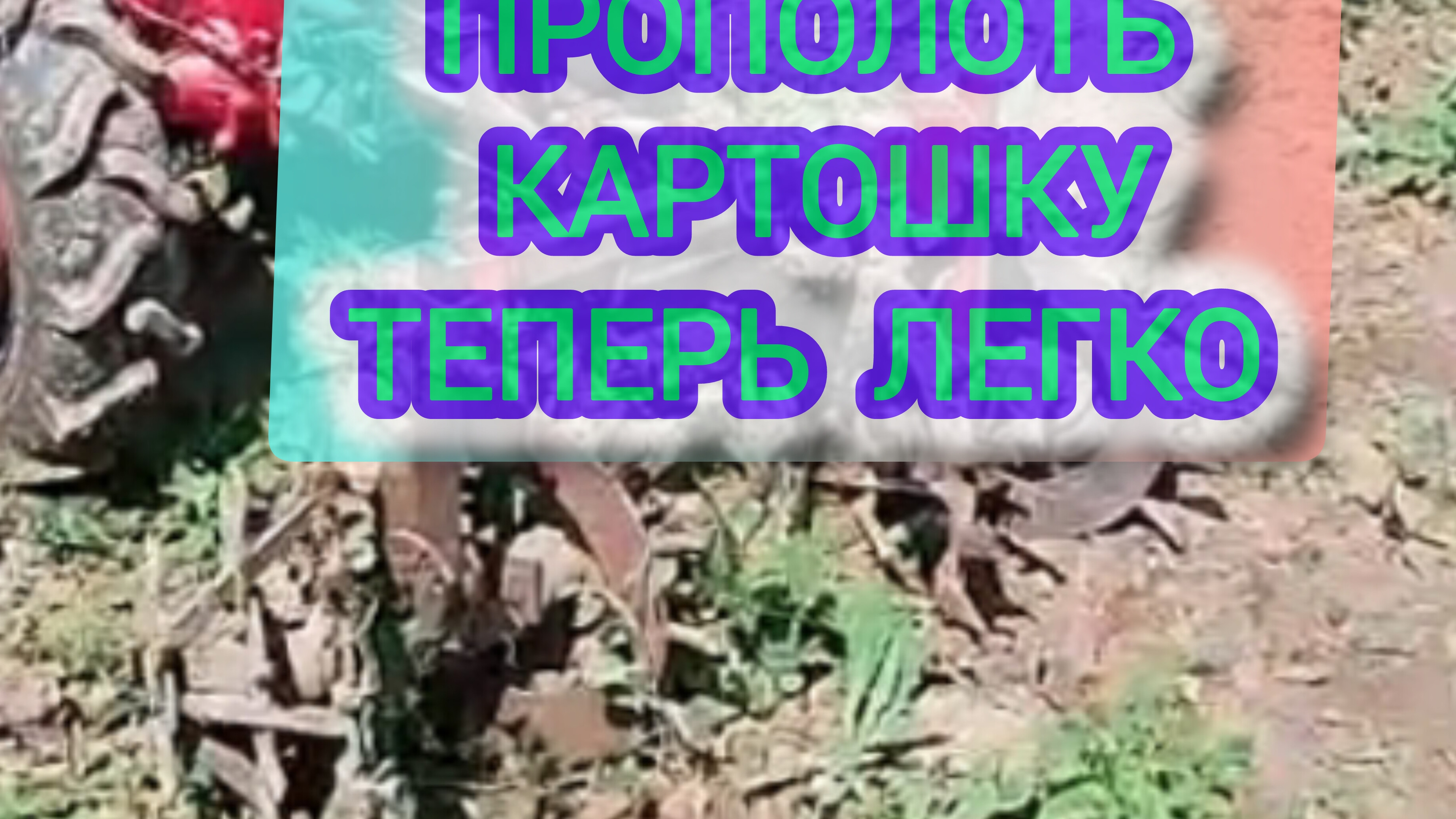 Ротационные бороны для мотоблока которые работают