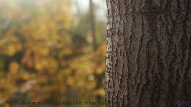 Видео, которое можно смотреть только в состоянии невесомости - испытайте! - Sunrise -- Luise Frentze